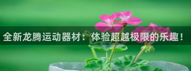 海南fb体育发展怎么样：全新龙腾运动器材：体验超越极