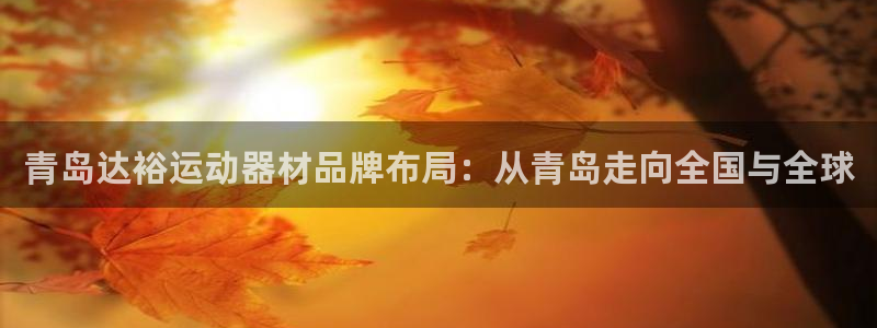 fb体育官方：青岛达裕运动器材品牌布局：从青岛走向全国与全球
