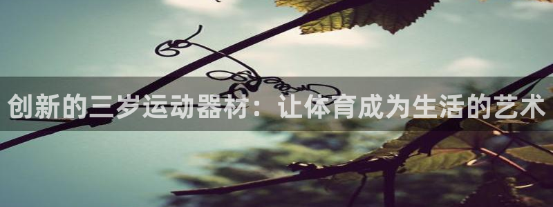 fb体育平台注册要钱吗是真的吗：创新的三岁运动器材：
