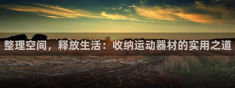 fb体育娱乐40996：整理空间，释放生活：收纳运动器材的实
