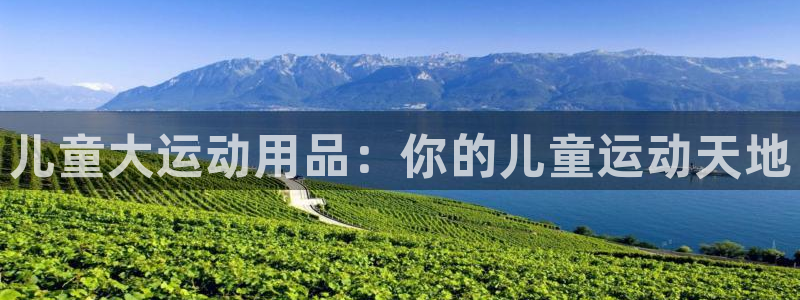 fb体育娱乐网站：儿童大运动用品：你的儿童运动天地