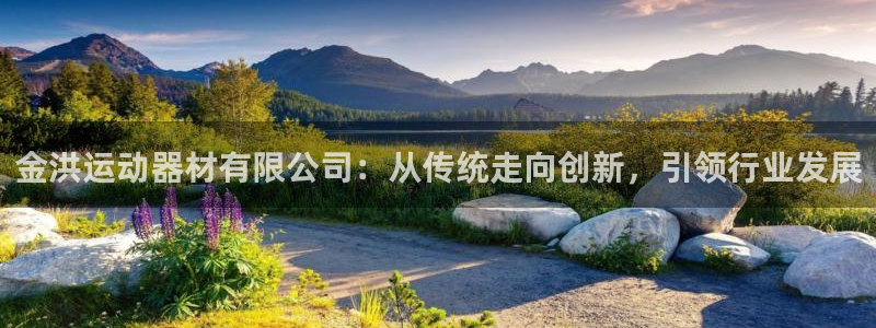 fb体育平台注册流程图：金洪运动器材有限公司：从传统