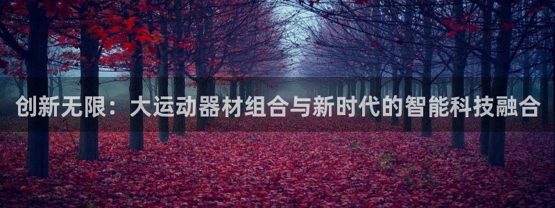 fb体育代理：创新无限：大运动器材组合与新时代的智能科技融合
