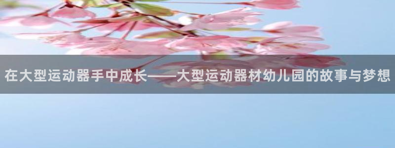 fb体育平台注册流程图：在大型运动器手中成长——大型运动器材