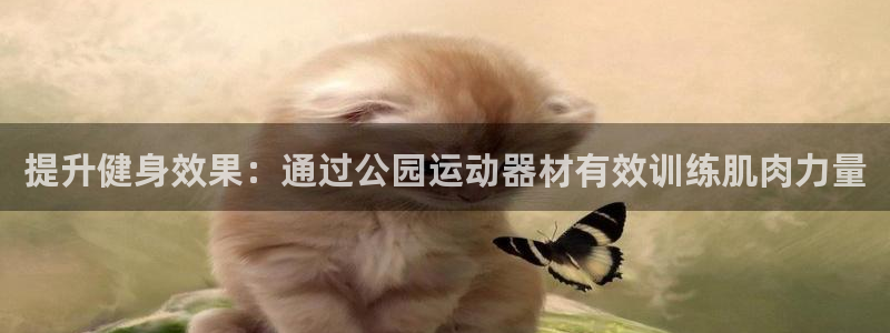 fb体育软件：提升健身效果：通过公园运动器材有效训练肌肉力量