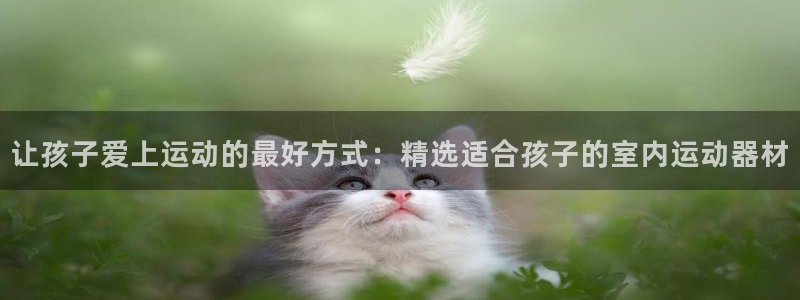 fb体育集团E.ON：让孩子爱上运动的最好方式：精选适合孩子
