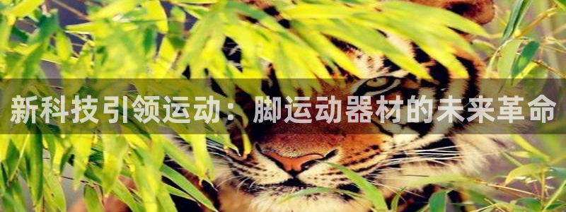 fb体育集团官网首页网址：新科技引领运动：脚运动器材的未来革