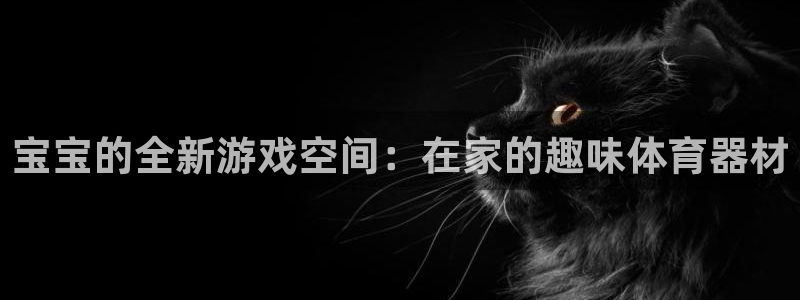 fb体育官方客服电话：宝宝的全新游戏空间：在家的趣味