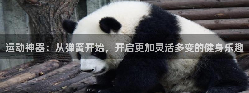 fb体育官方：运动神器：从弹簧开始，开启更加灵活多变的健身乐