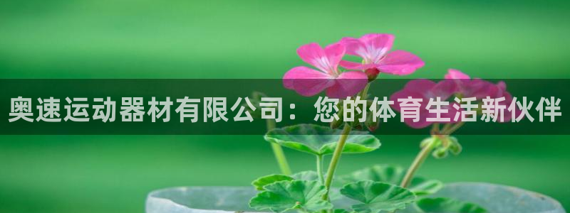 fb集团官网：奥速运动器材有限公司：您的体育生活新伙伴