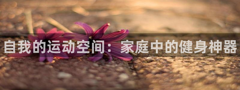 fb体育娱乐代理怎么样：自我的运动空间：家庭中的健身神器