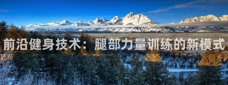 fb体育平台注册流程图：前沿健身技术：腿部力量训练的