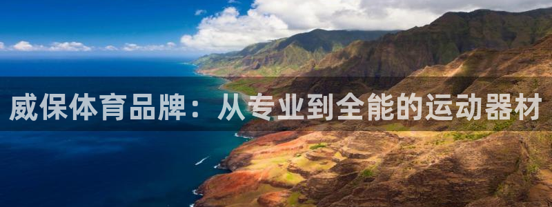 fb体育新能源：威保体育品牌：从专业到全能的运动器材