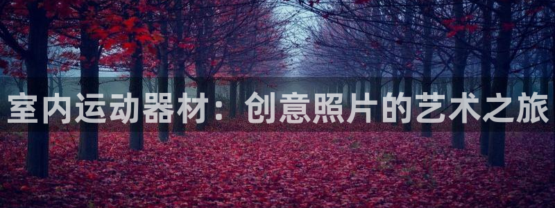 注册fb体育：室内运动器材：创意照片的艺术之旅