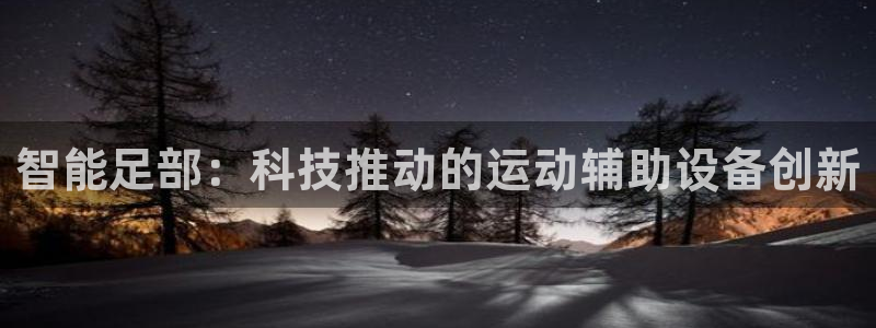 fb体育是干嘛的公司