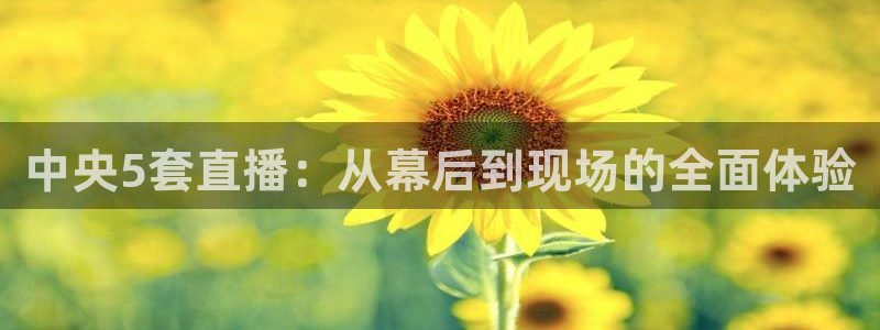 说球帝app：中央5套直播：从幕后到现场的全面体验