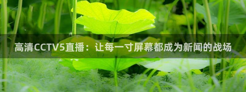 说球帝24小时直播在线观看：高清CCTV5直播：让每一寸屏幕都成为新闻的战场
