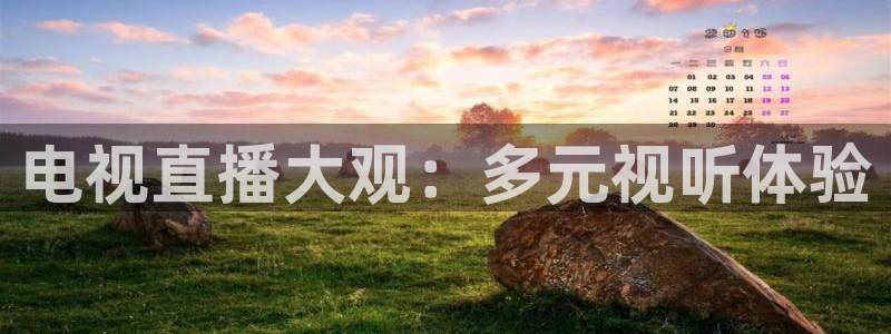 说球帝app直播在线观看高清免费：电视直播大观：多元视听体验