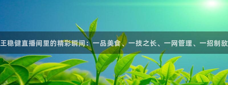 说球帝直播平台：王稳健直播间里的精彩瞬间：一品美食、一技之长、一网管理、一招制敌
