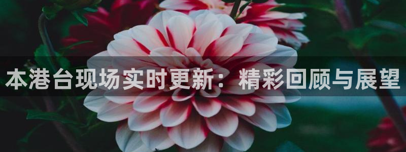 说球帝nba直播免费：本港台现场实时更新：精彩回顾与展望