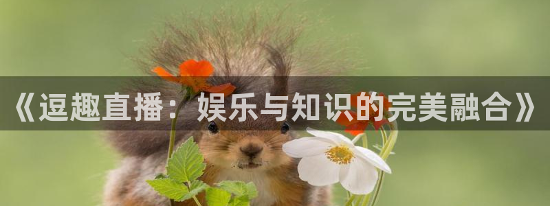说球帝免费观看篮球直播：《逗趣直播：娱乐与知识的完美融合》